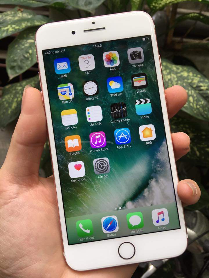 18275007_1878091655550046_8683599702256899012_n.jpg