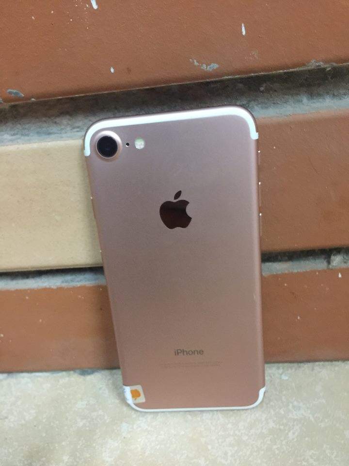 18221879_937300253076675_5741268127053363275_n.jpg