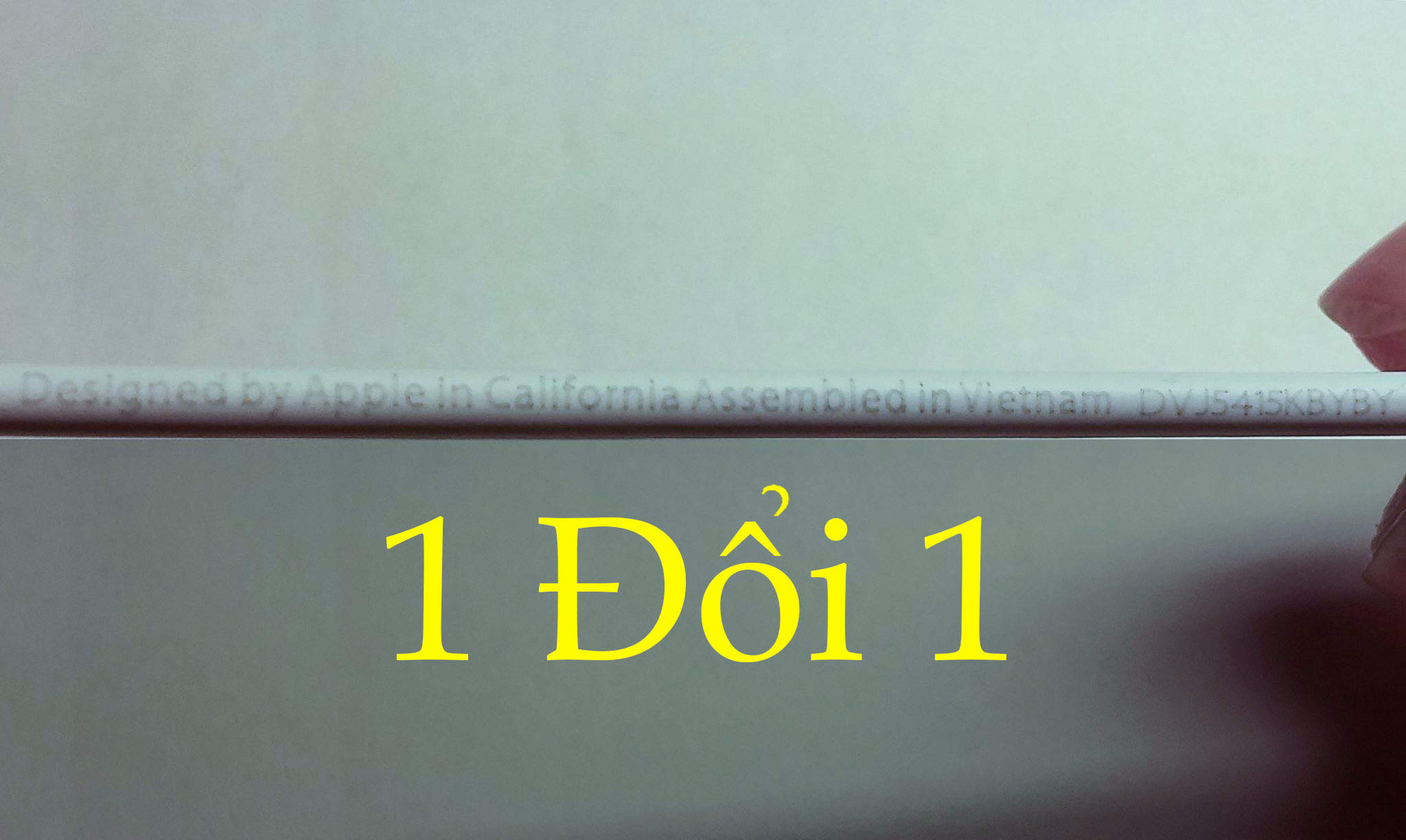 1doi1.jpg