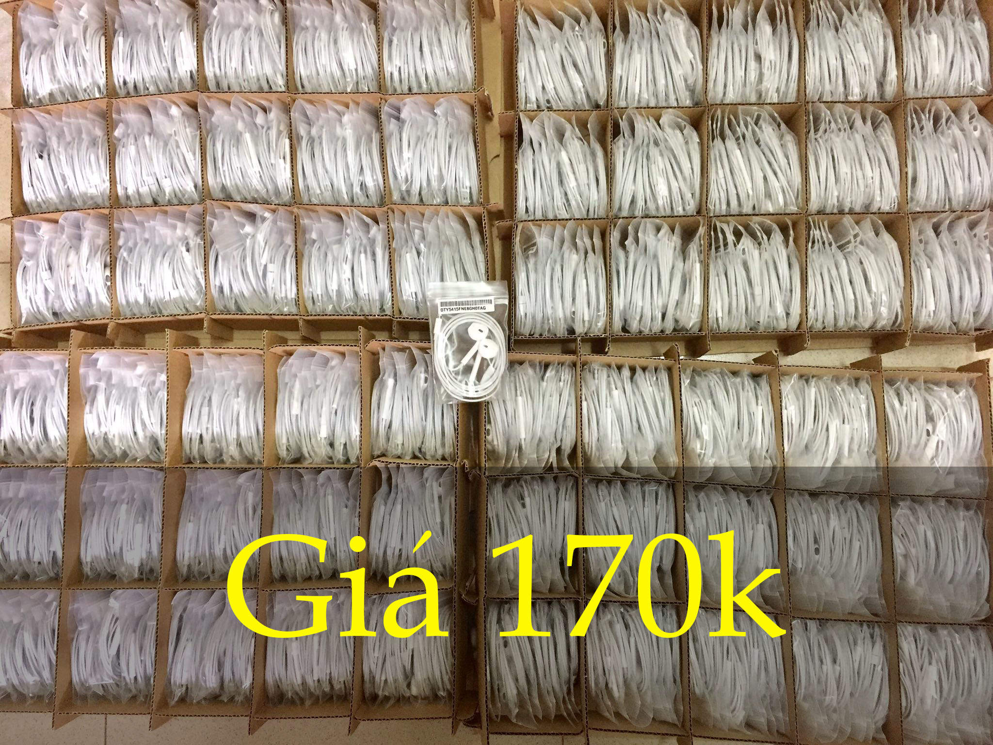 gia.jpg