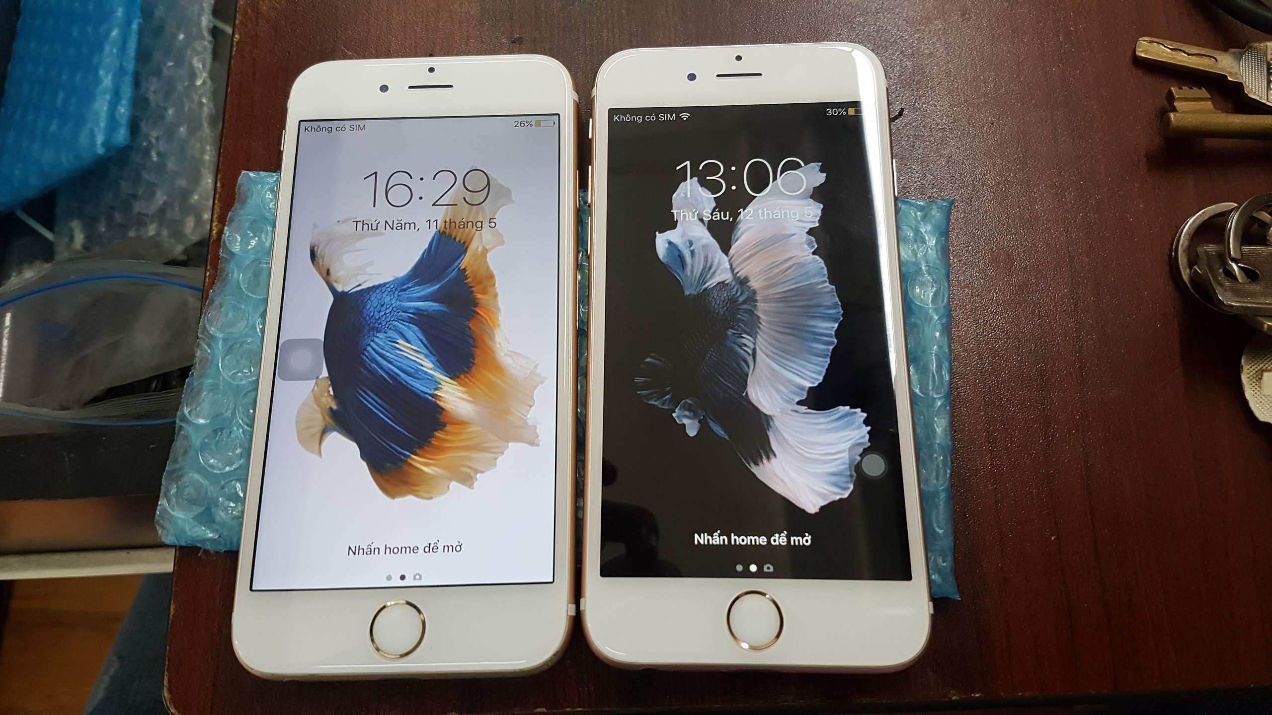 8385677_20170512_130635.jpg