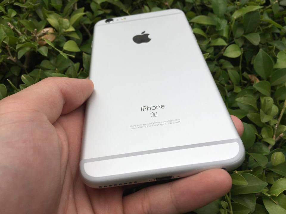 18555333_656356371239560_1176789506_n.jpg