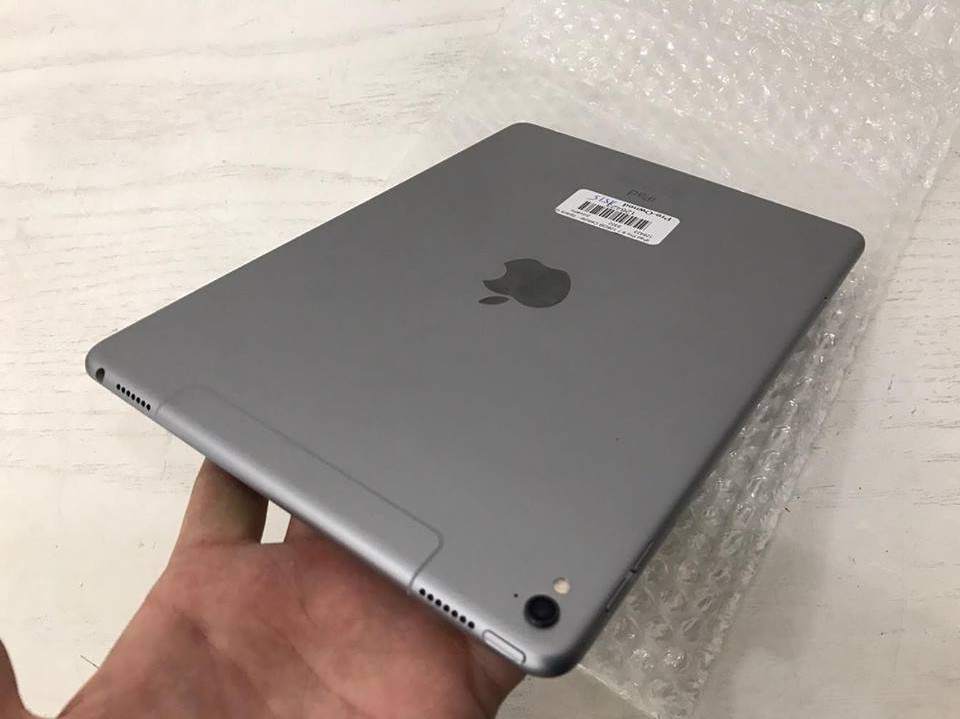 gray 3.jpg
