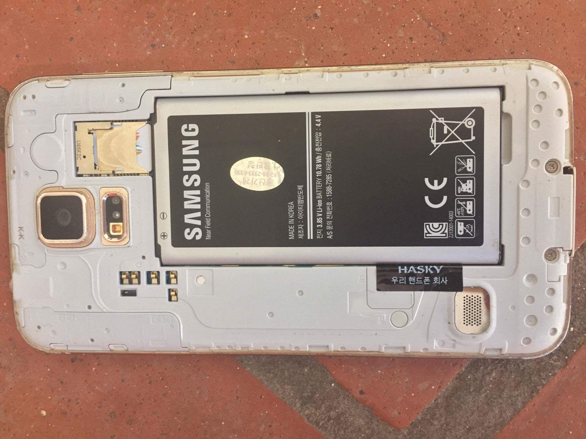 received_372175506517542.jpeg