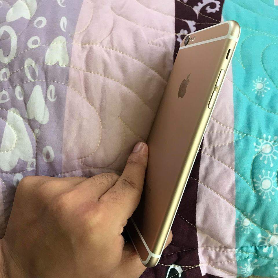 18582243_1262196923877618_5511141206923953677_n (1).jpg