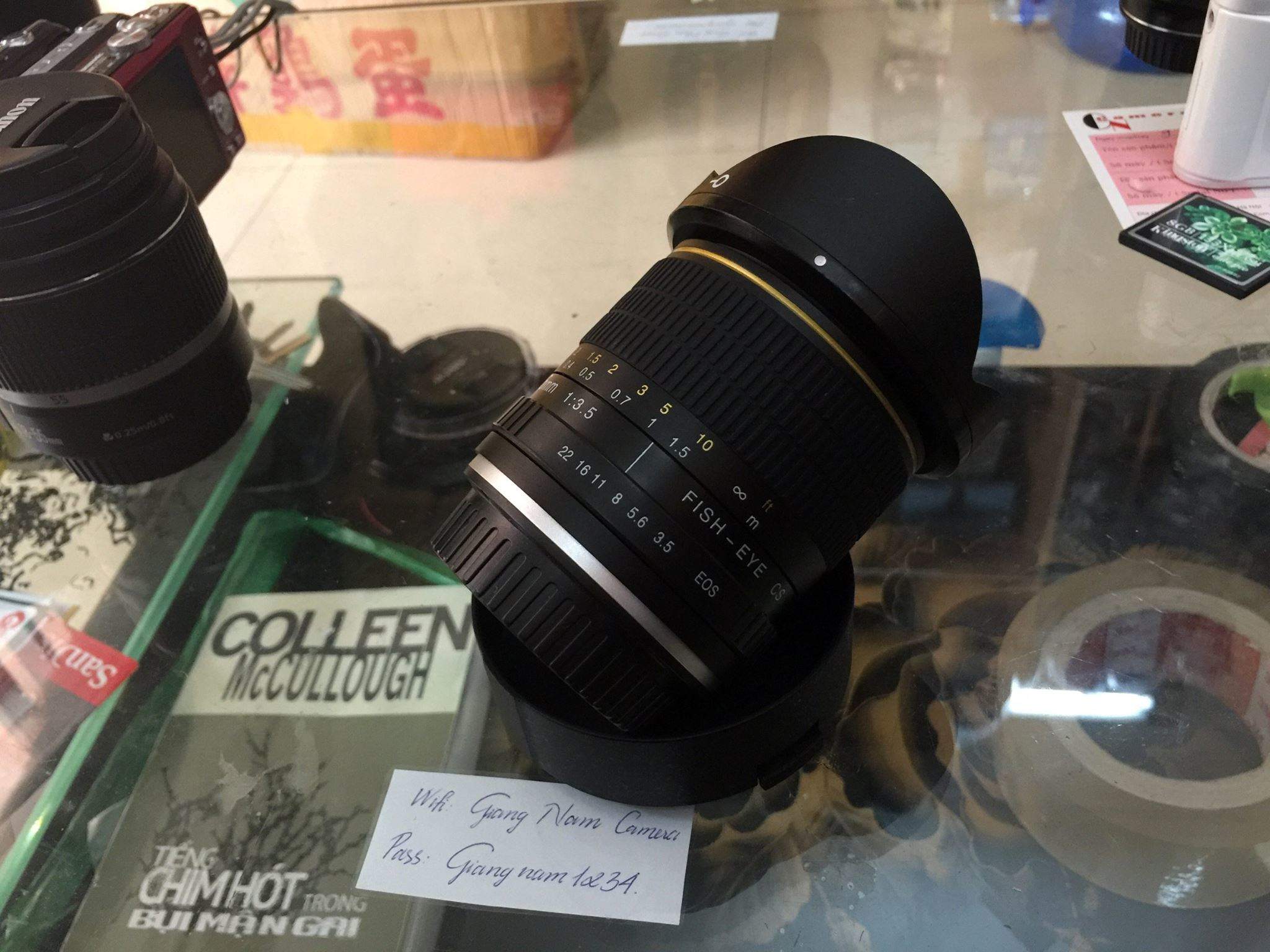 fish eye.JPG