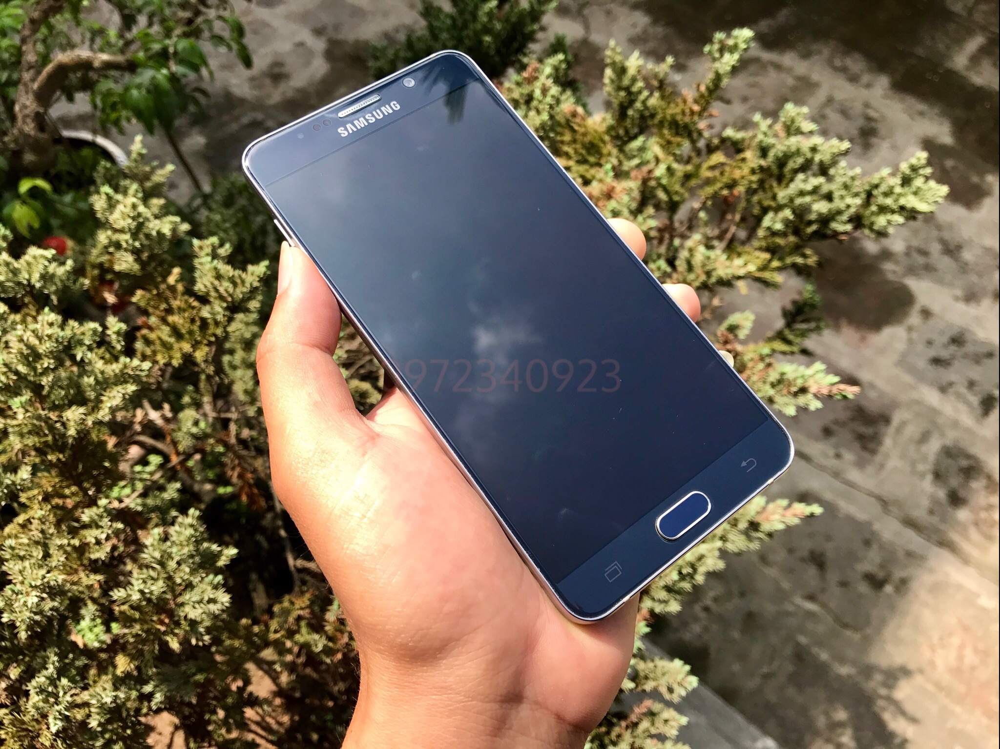 Watermarked1(2017-05-21-1807).jpg