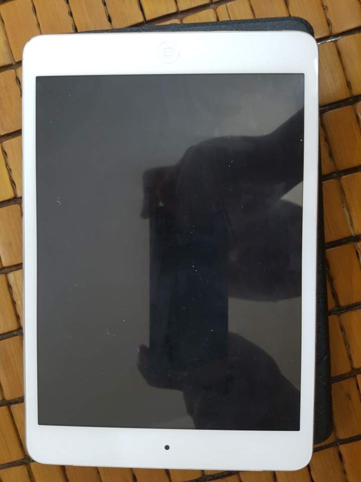 e77ac6895dcdb6a28abc6031aeb1b113.jpg