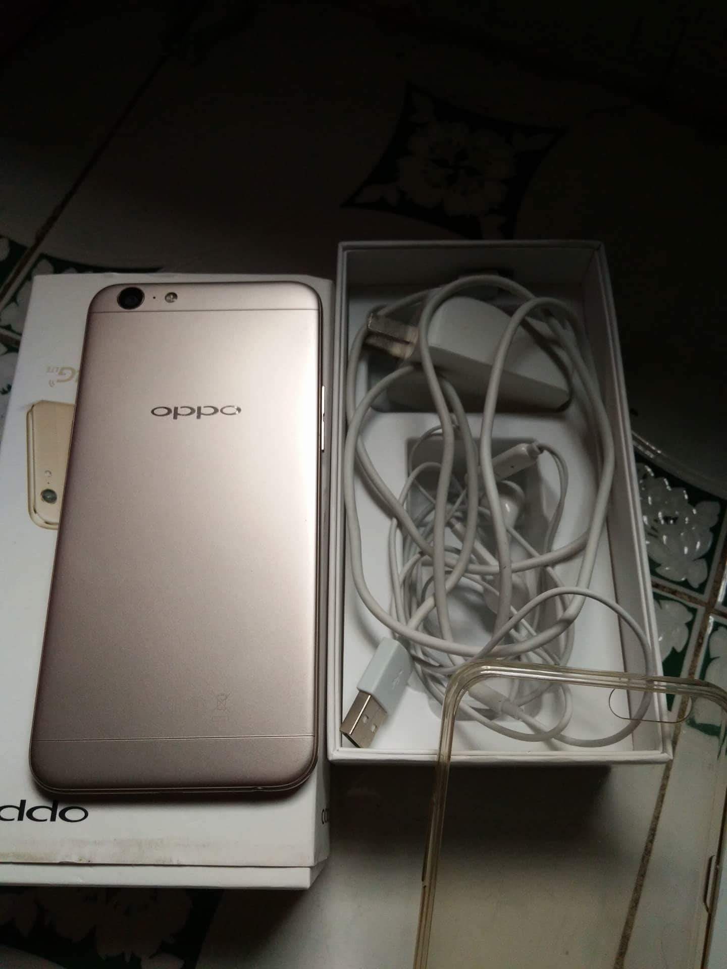 received_177404379461245.jpeg