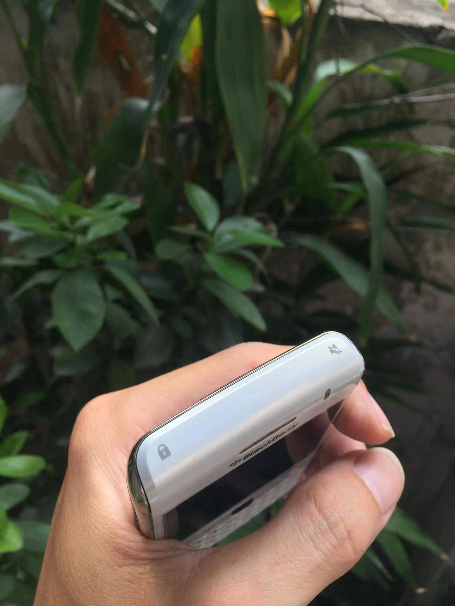 received_1717932231551986.jpeg