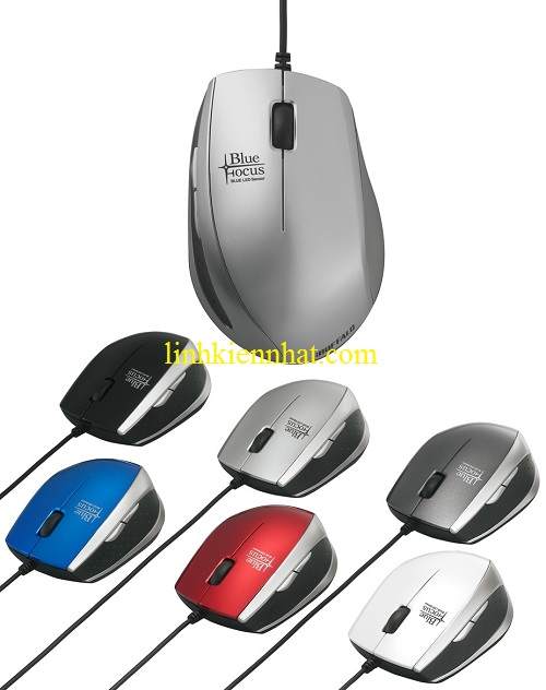 BSMBU02.jpg