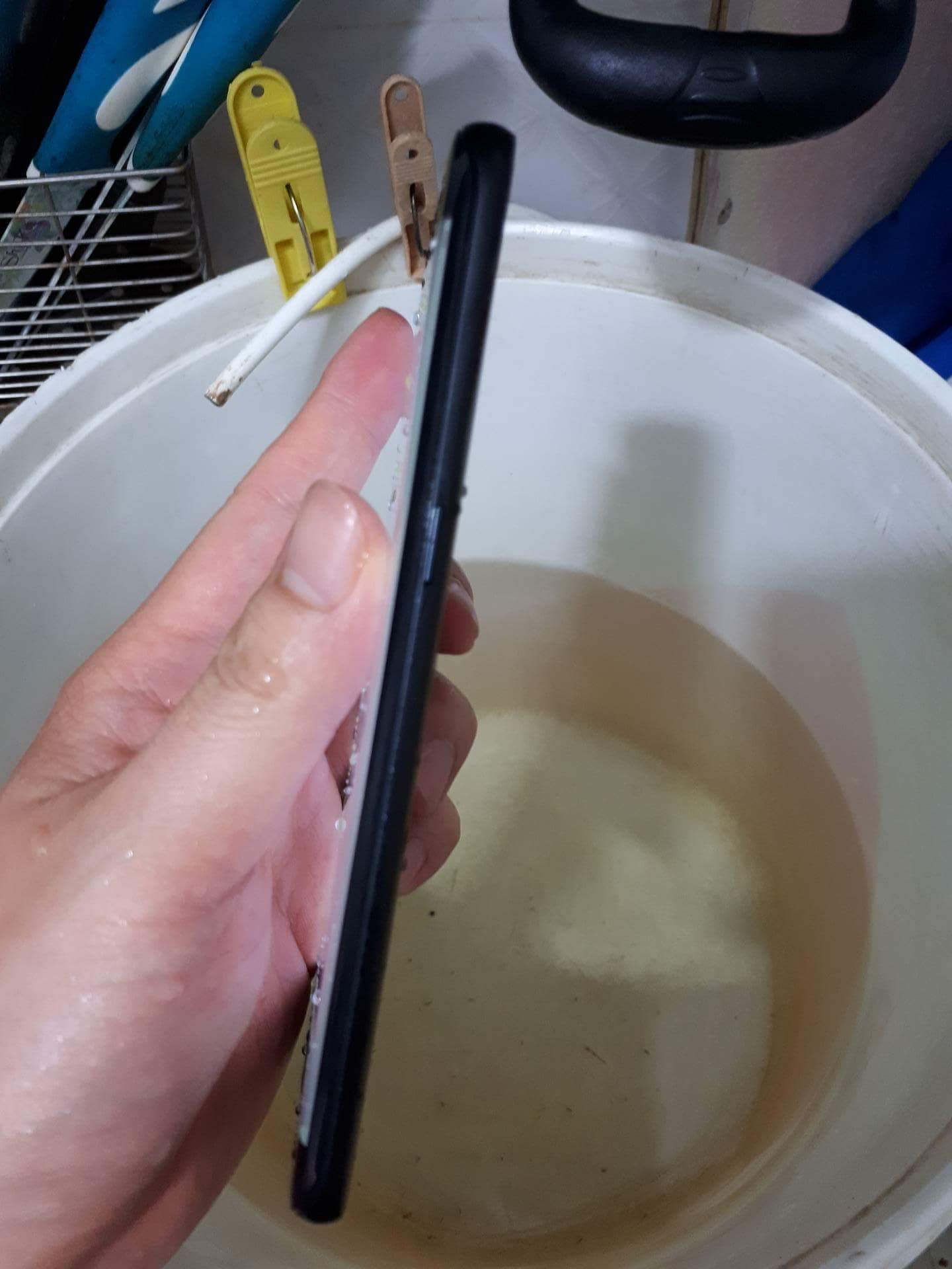 received_766390386873456.jpeg
