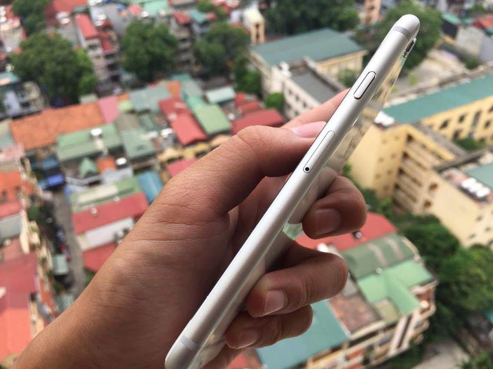 19578177_678798588995338_973367826_n.jpg