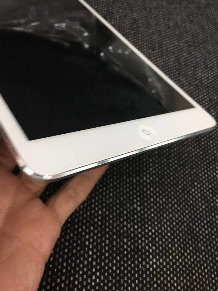 19894394_1870313326569748_705447850_n.jpg
