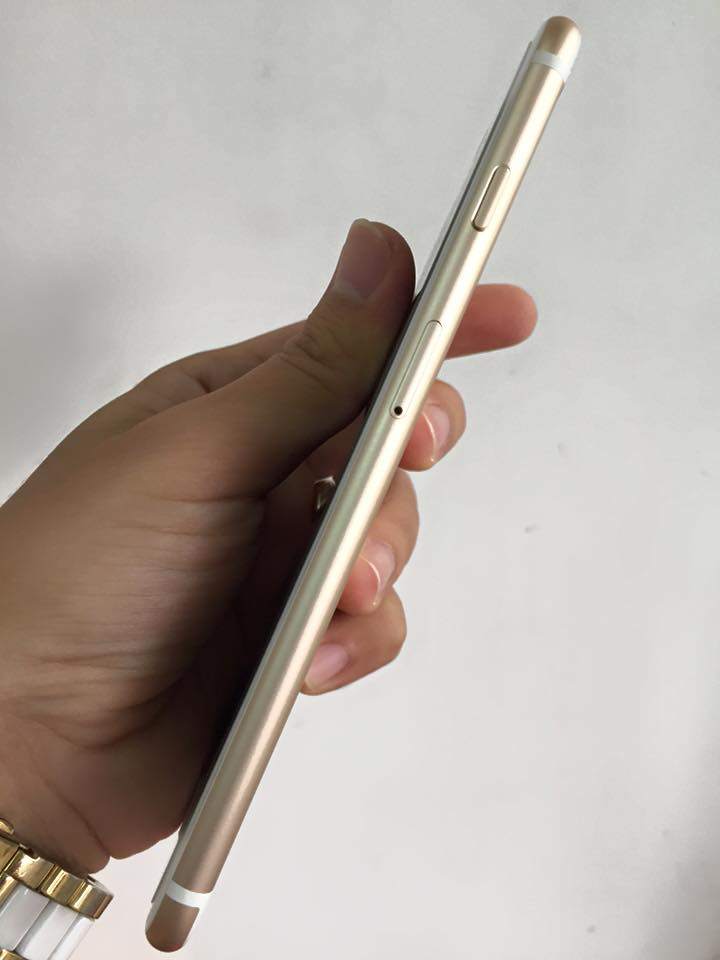 12418088_553317621511082_4198019592322138524_n.jpg