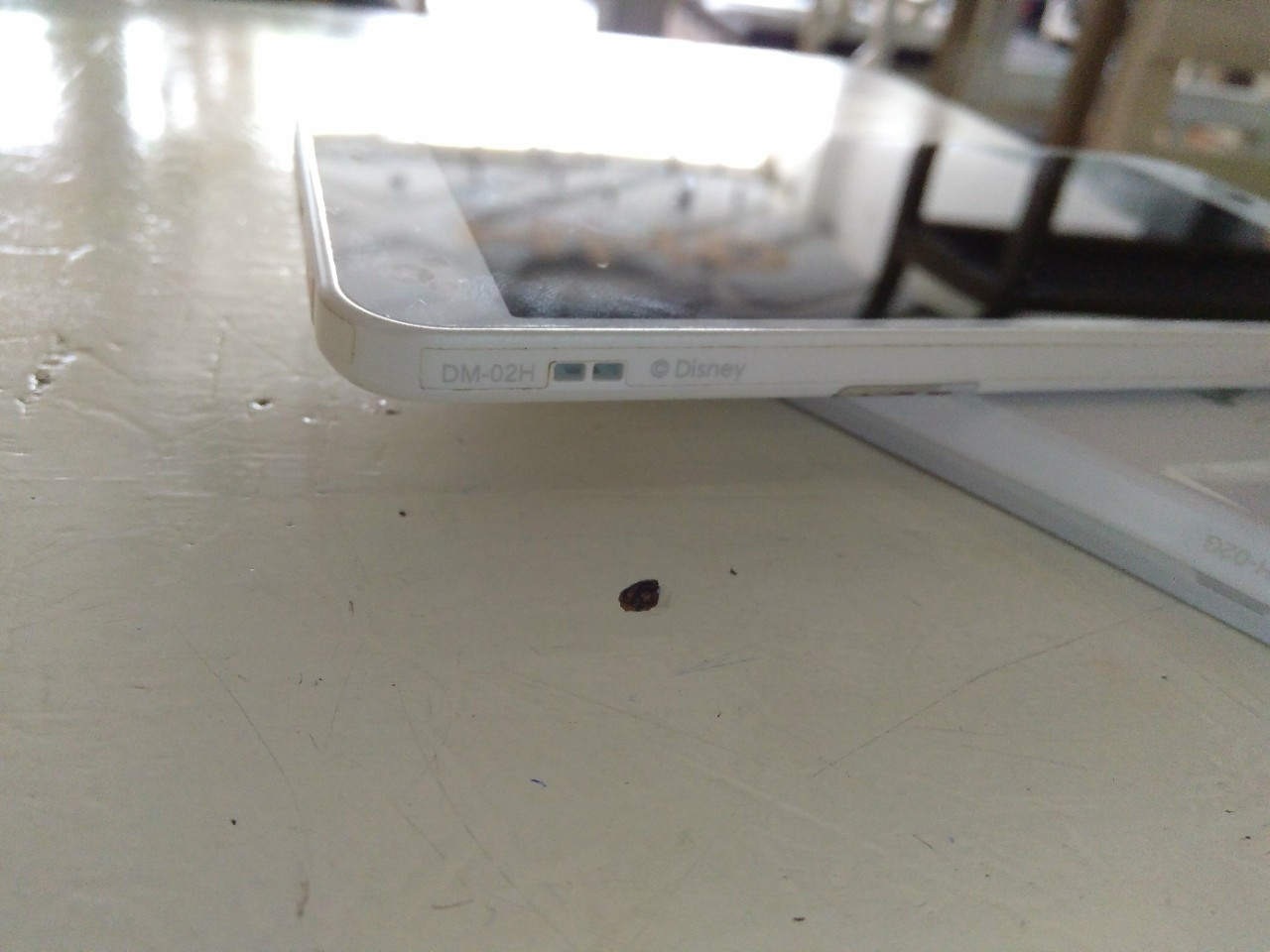 z712632808539_e40e1a29b133ecd21d2cfea9ebab86f4.jpg