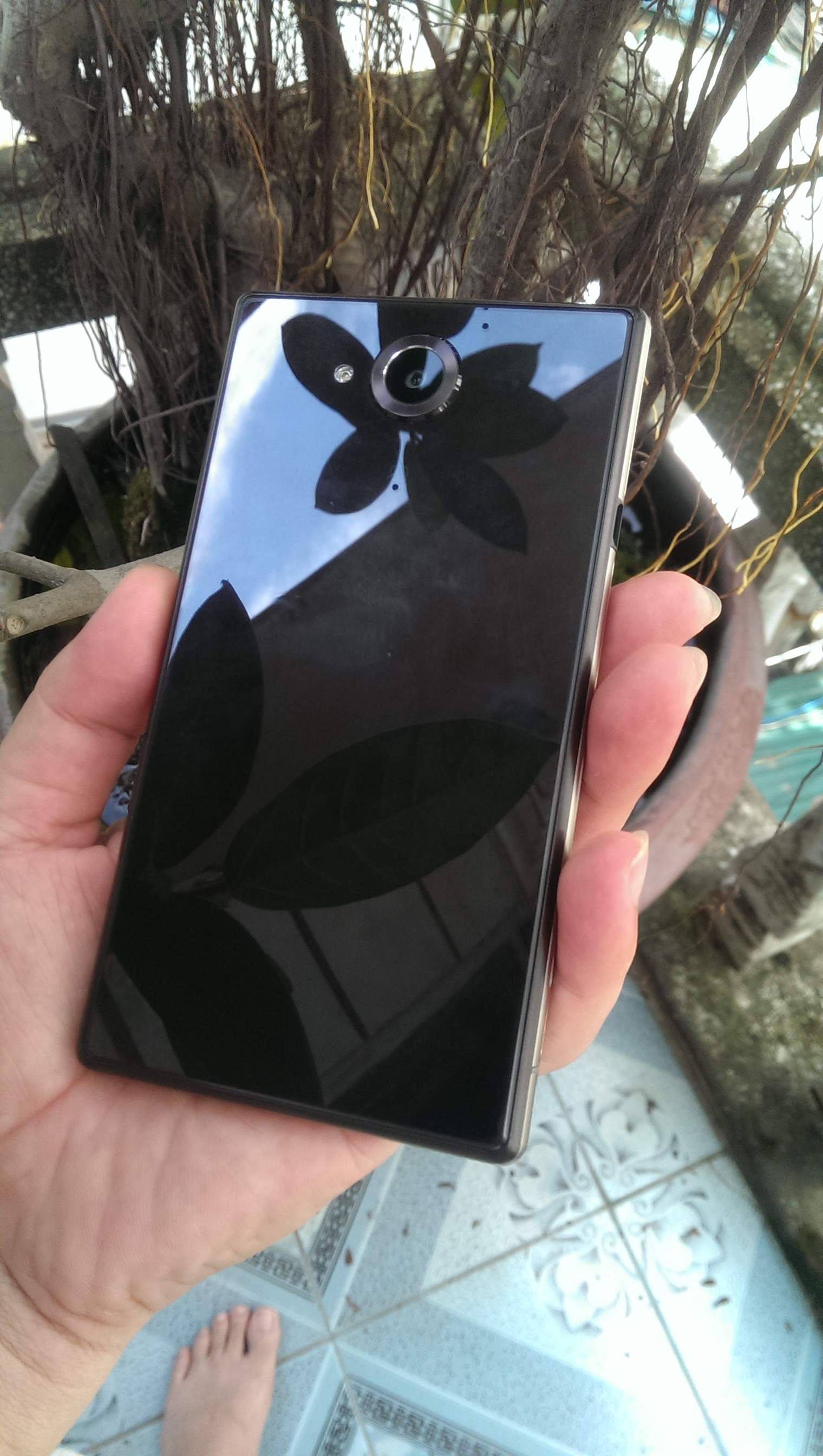 IMAG0022.jpg
