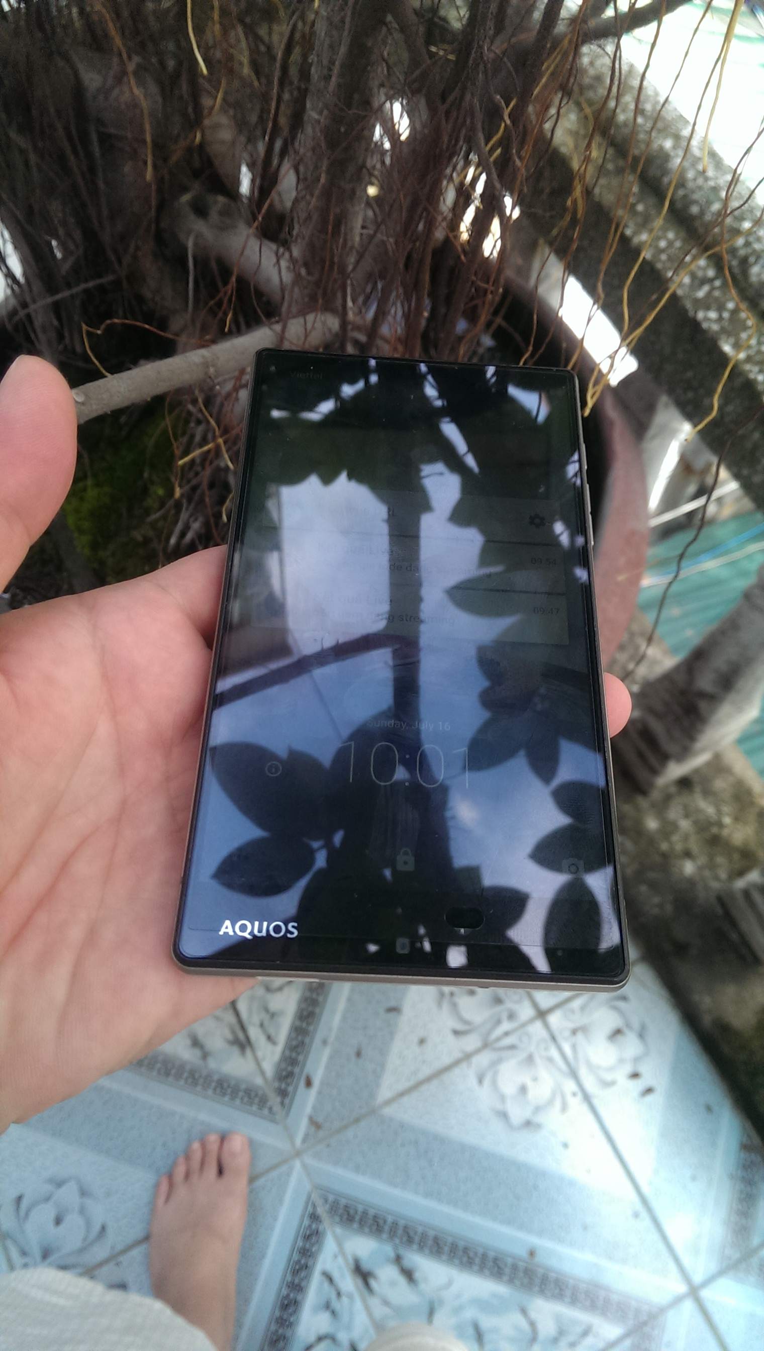 IMAG0023.jpg