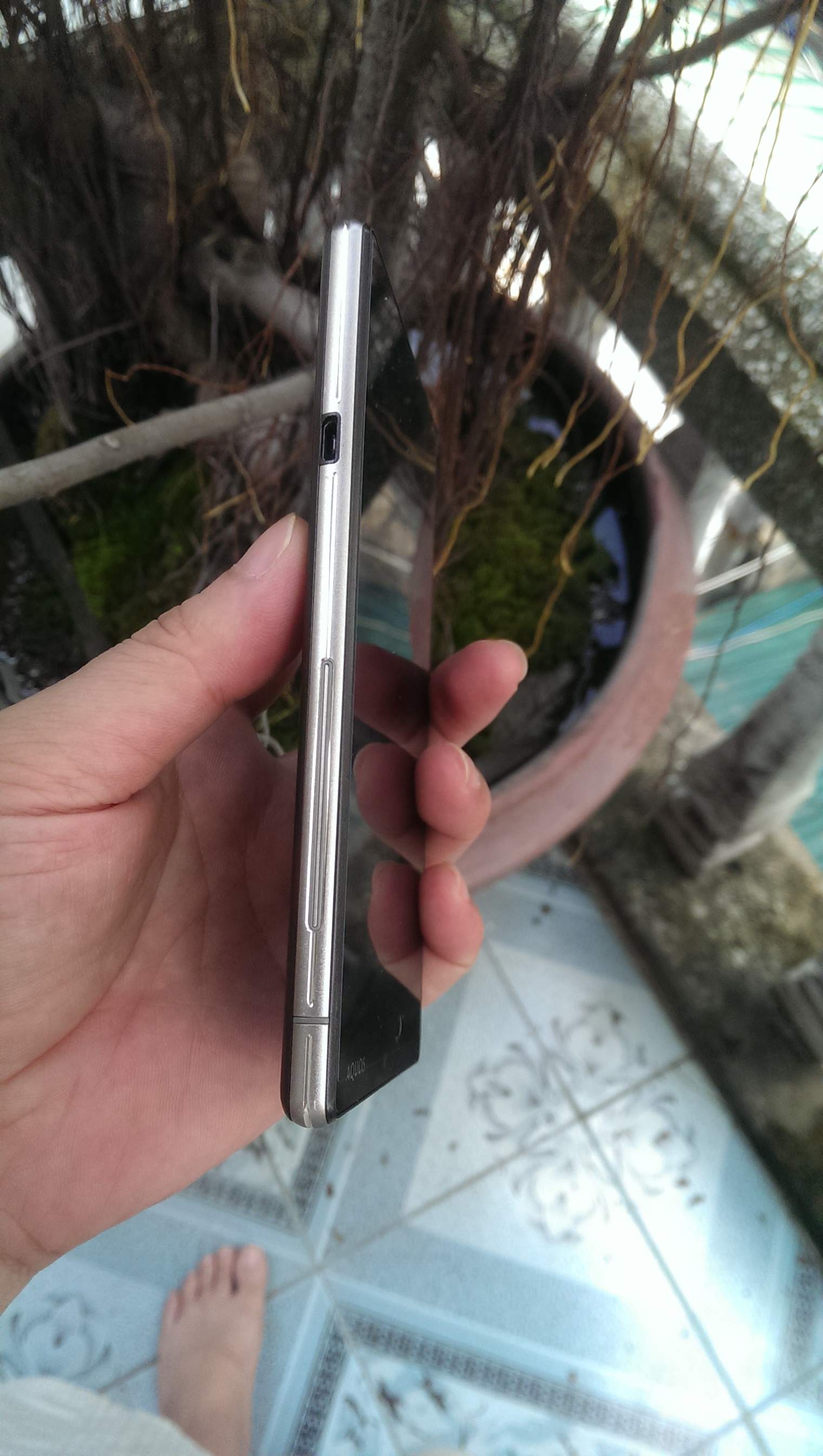 IMAG0024.jpg