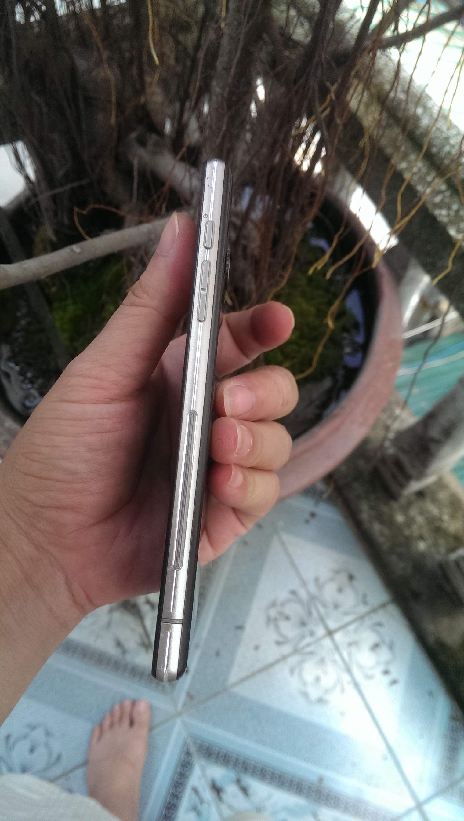 IMAG0025.jpg