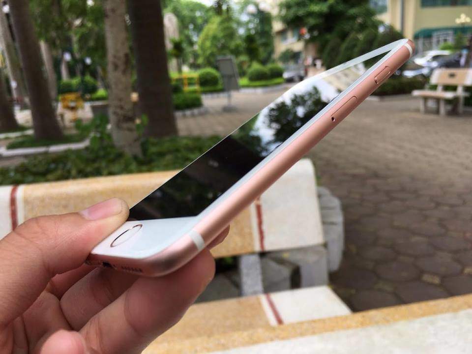 19264924_675778315964032_639793325_n.jpg