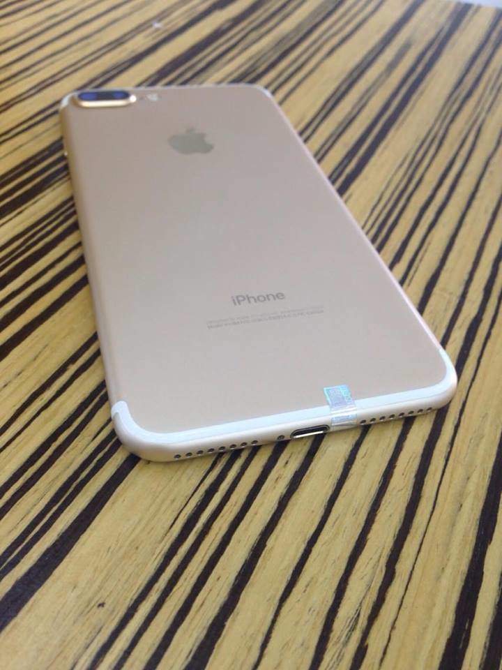 20179805_1000714723404718_2118654655_n - Copy.jpg