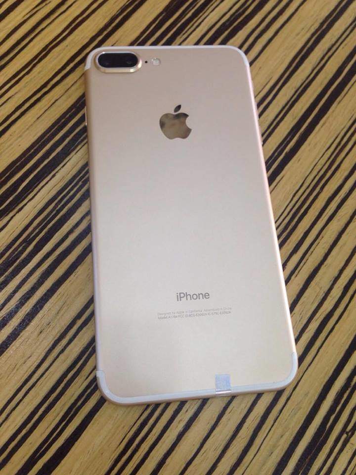 20179868_1000714713404719_651257867_n - Copy.jpg