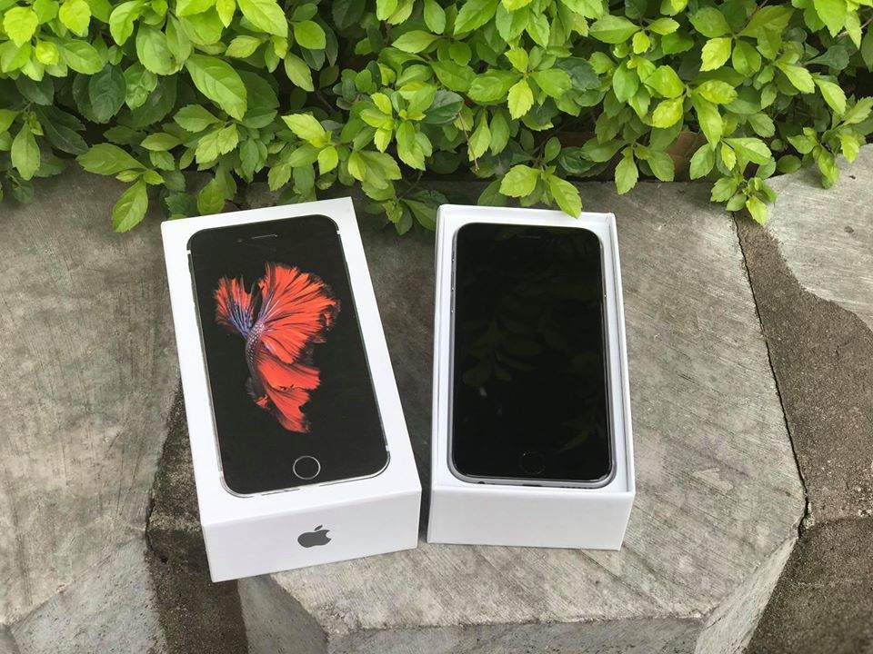 17800204_638154636393067_6652815102336341189_n.jpg