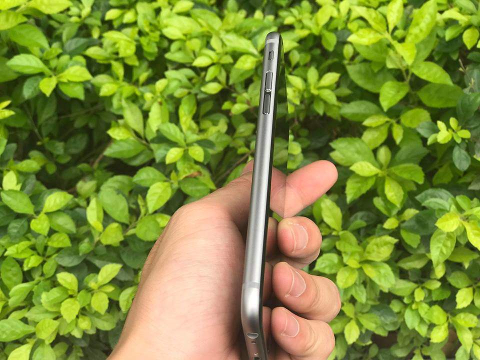 17795689_638154616393069_7188083350523082130_n.jpg