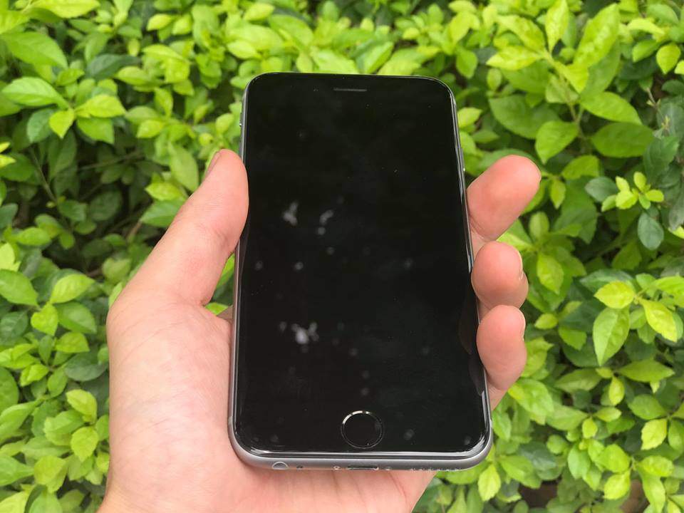 17796229_638154623059735_2704190428422315741_n.jpg