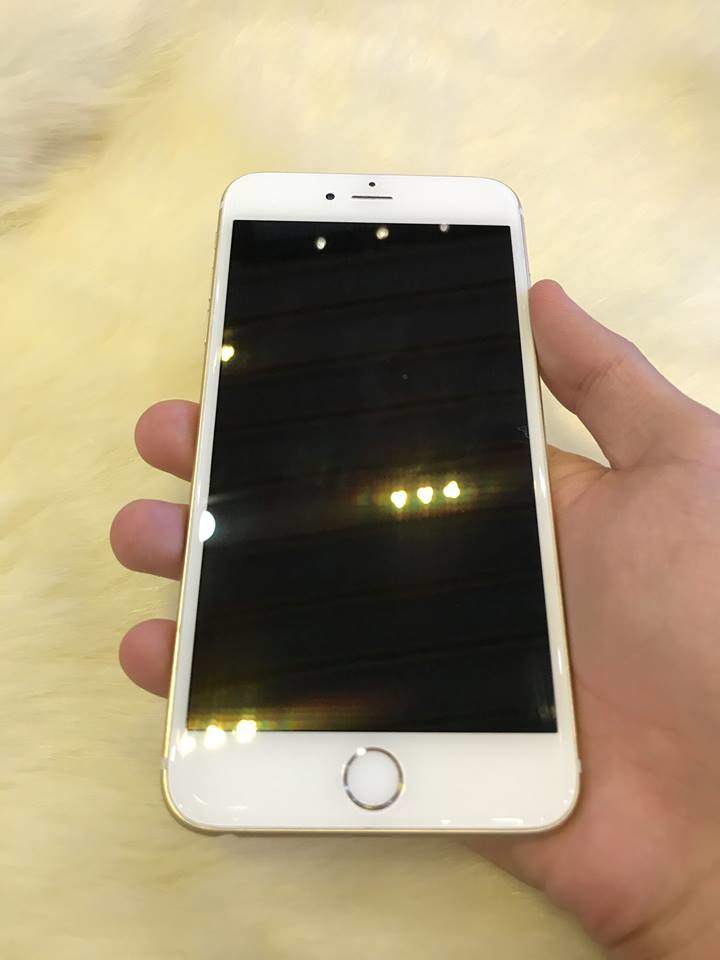20246154_966192423522240_9005654043209519586_n.jpg