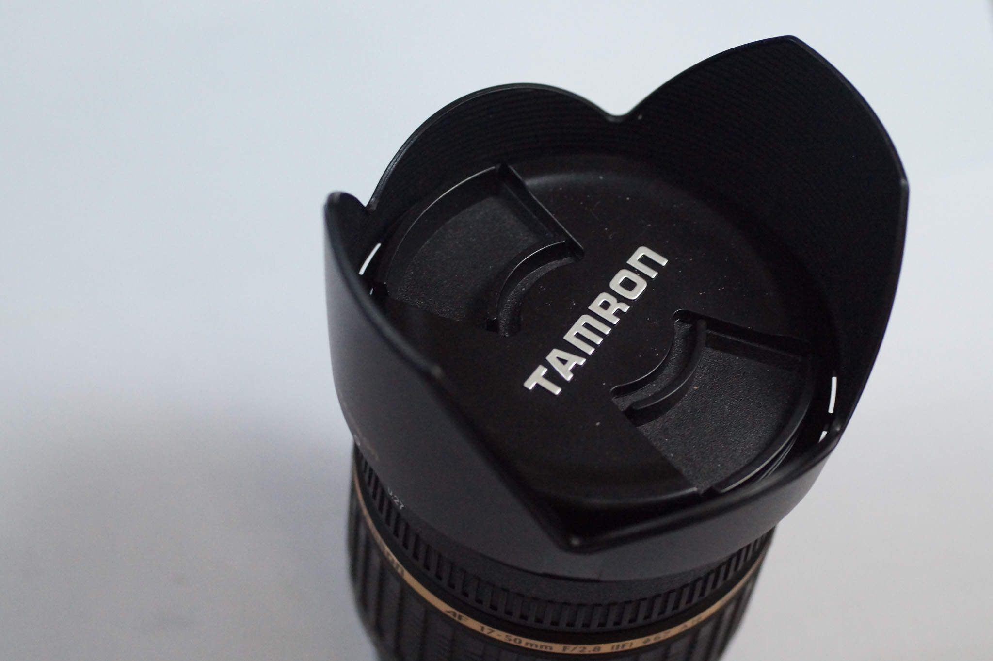 nhanmeo-05873.jpg