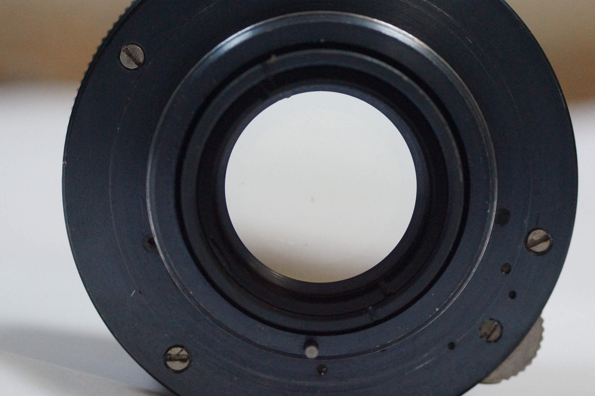 nhanmeo-05876.jpg