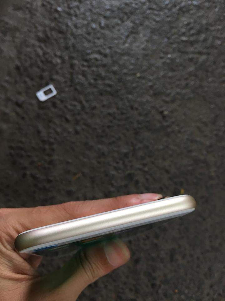 20227358_1780193378662924_1818956385_n.jpg