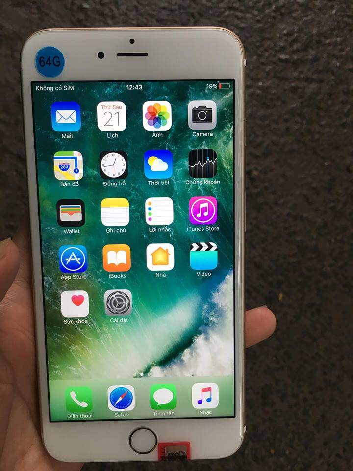 20269775_1780193425329586_1145545860_n.jpg