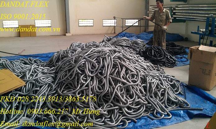ong ruot ga loi thep.2306.jpg
