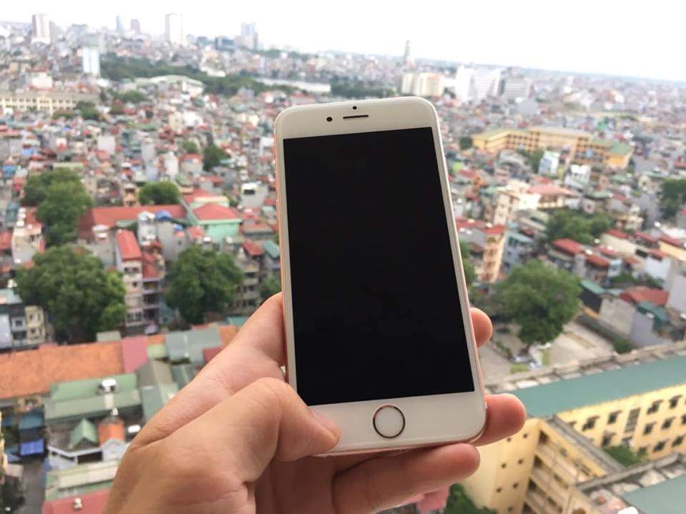 19251343_675919619283235_1137917584_n.jpg