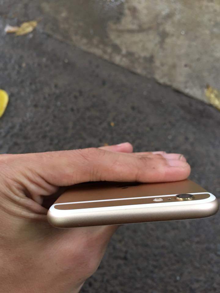 20621974_1796352037047058_1721877706337242137_n.jpg