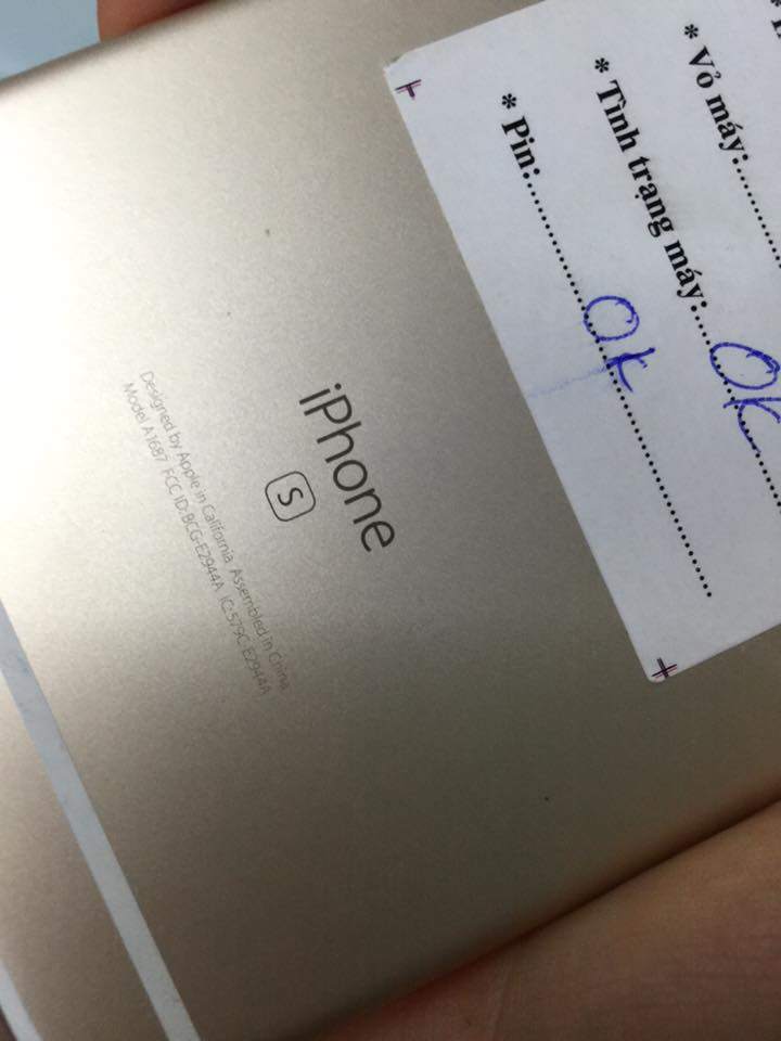 17265158_1405910996147259_6908619086937494105_n.jpg