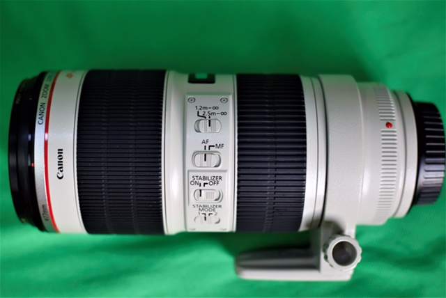 Canon 70200L 2.8 IS II (1).JPG