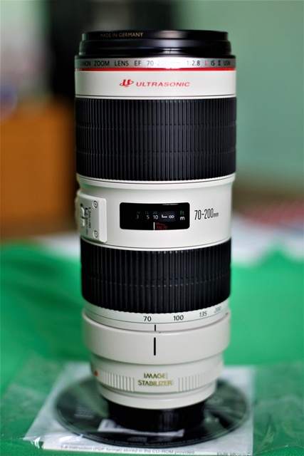 Canon 70200L 2.8 IS II (4).JPG
