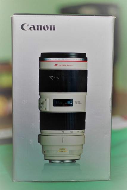 Canon 70200L 2.8 IS II (10).JPG
