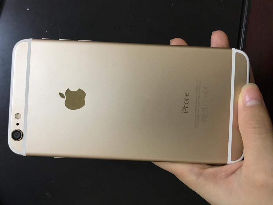20938885_1926712874283053_702849672_n.jpg