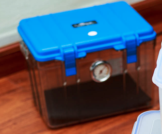 Screen Shot 2017-08-22 at 11.17.01 AM.png