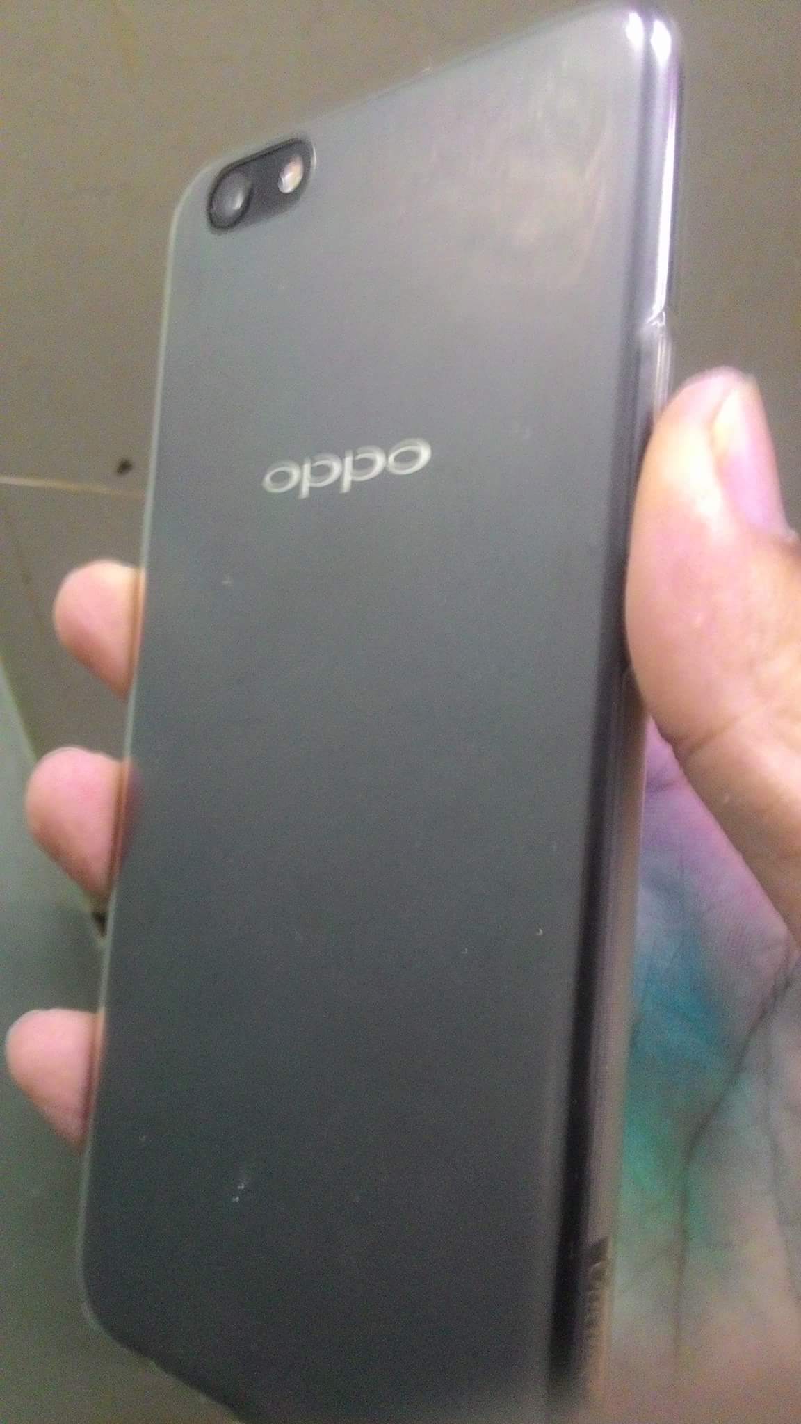 9024391_received_1100014636795193.jpeg