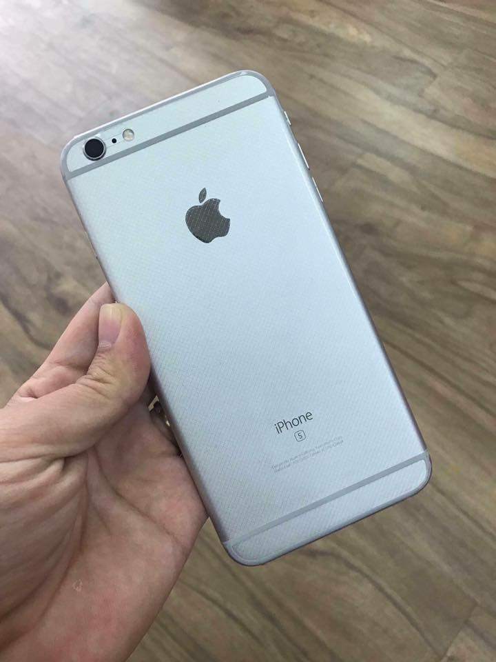 20994364_458140457918680_7028804923369648235_n.jpg