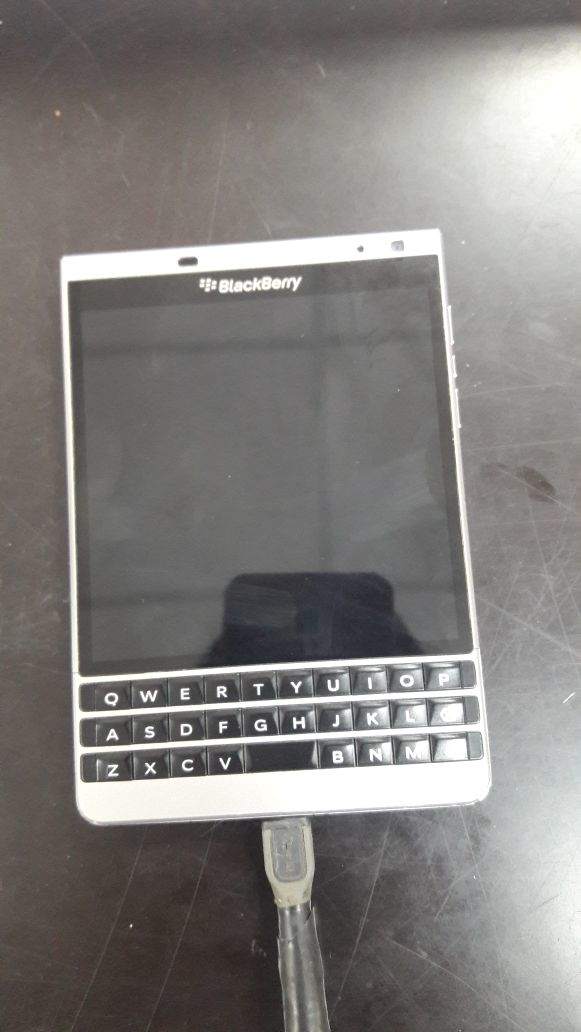 Passport sylver.jpeg