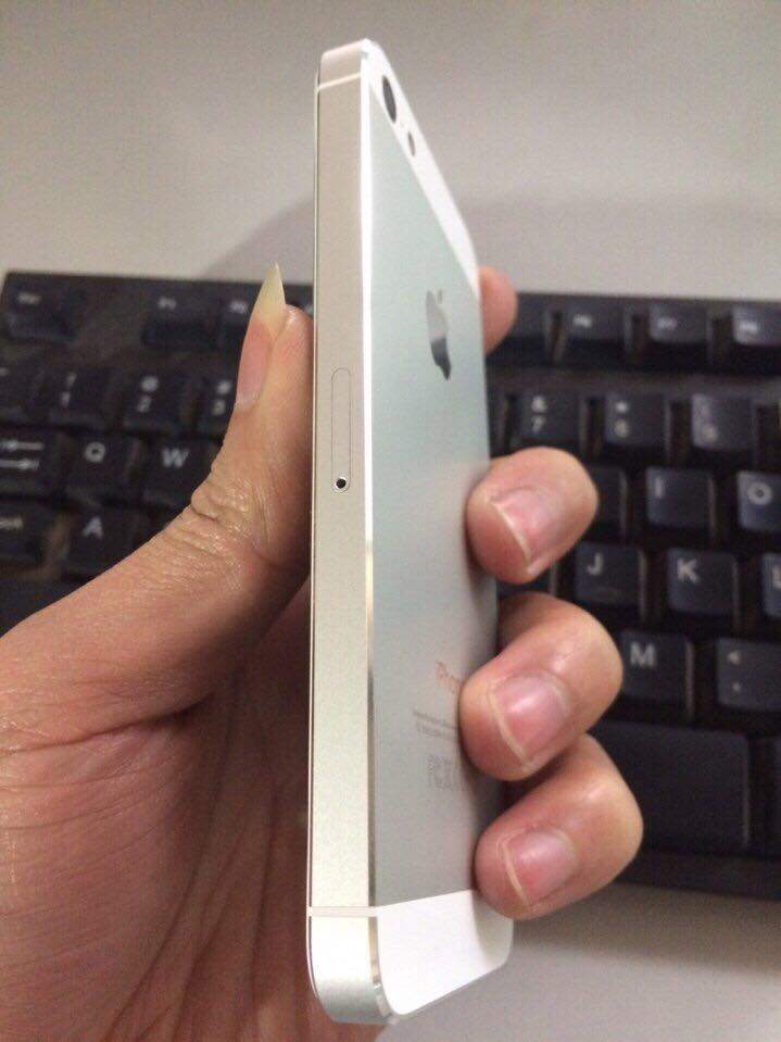 17862428_1291708524281013_1999577830606226305_n.jpg
