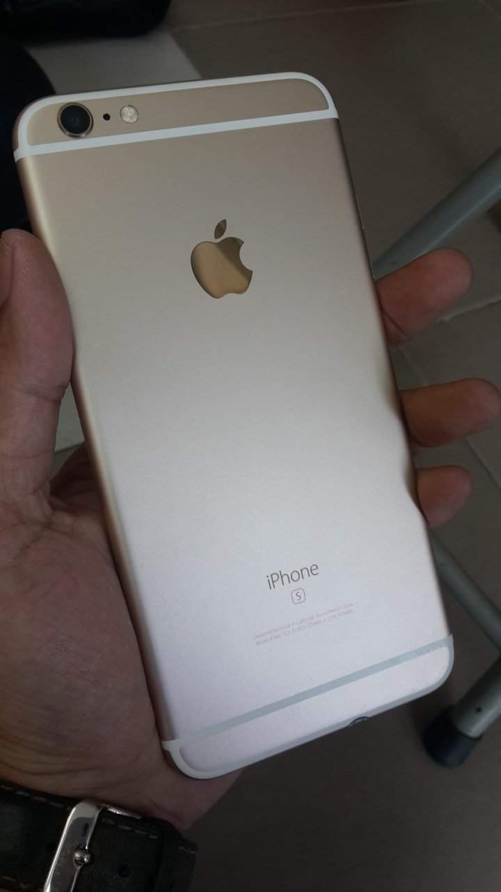 20170831_132808.jpg