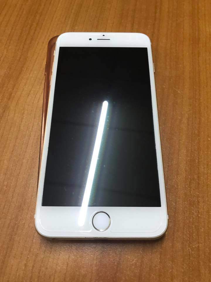 21370932_1132948173516407_7372820245467886035_n.jpg